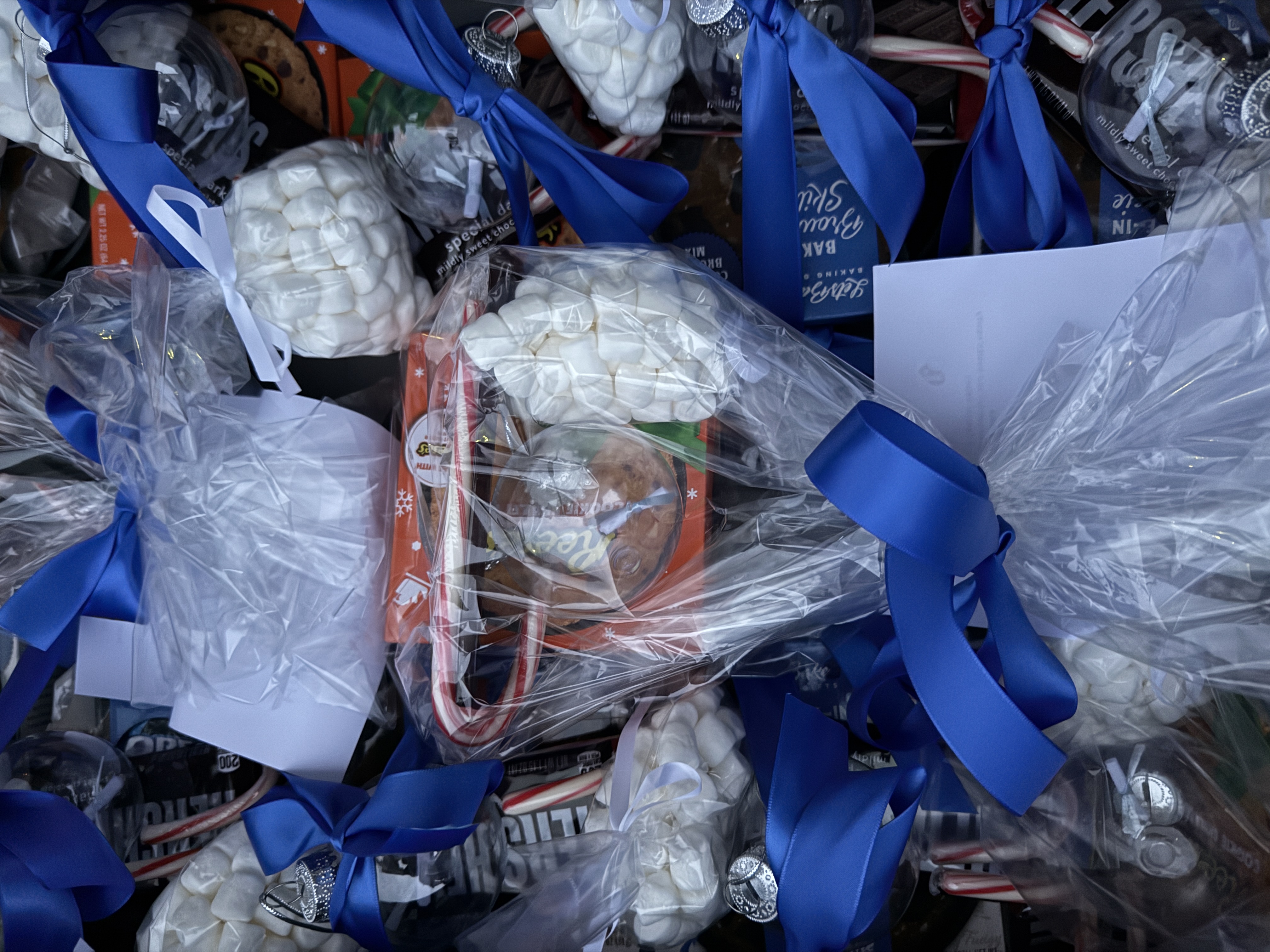 Holiday Surprise event