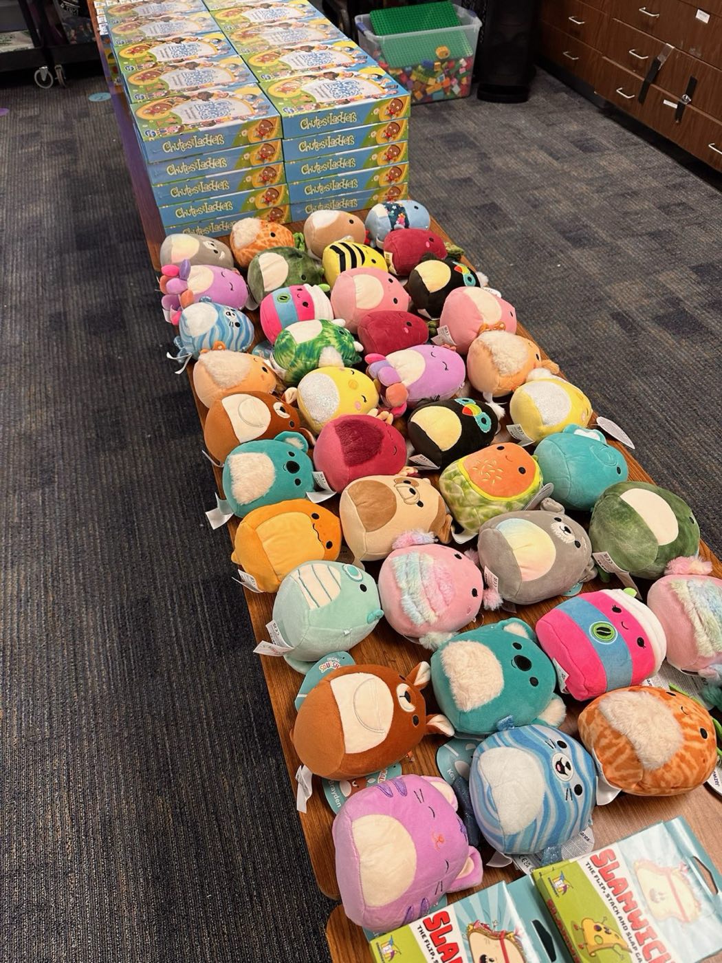 Sports balls gathered for students